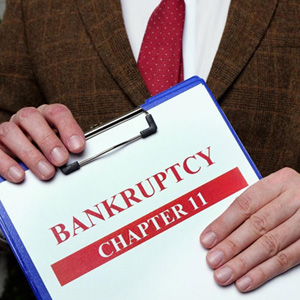 New Jersey Individual Chapter 11 Bankruptcy Filing - The Basics - Somerville, NJ